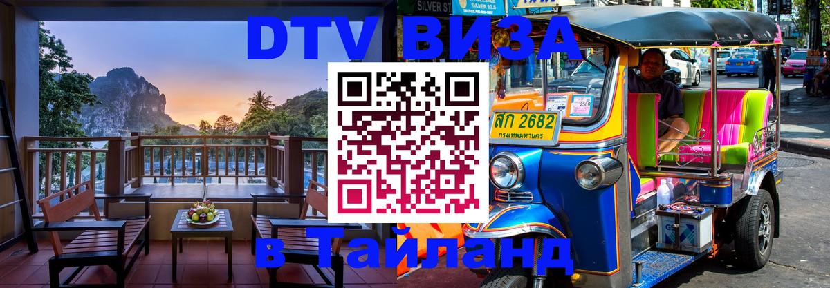 Оформление DTV визы под ключ: стоимость и тарифы, только загранпаспорт - Казань  18.11.2025 